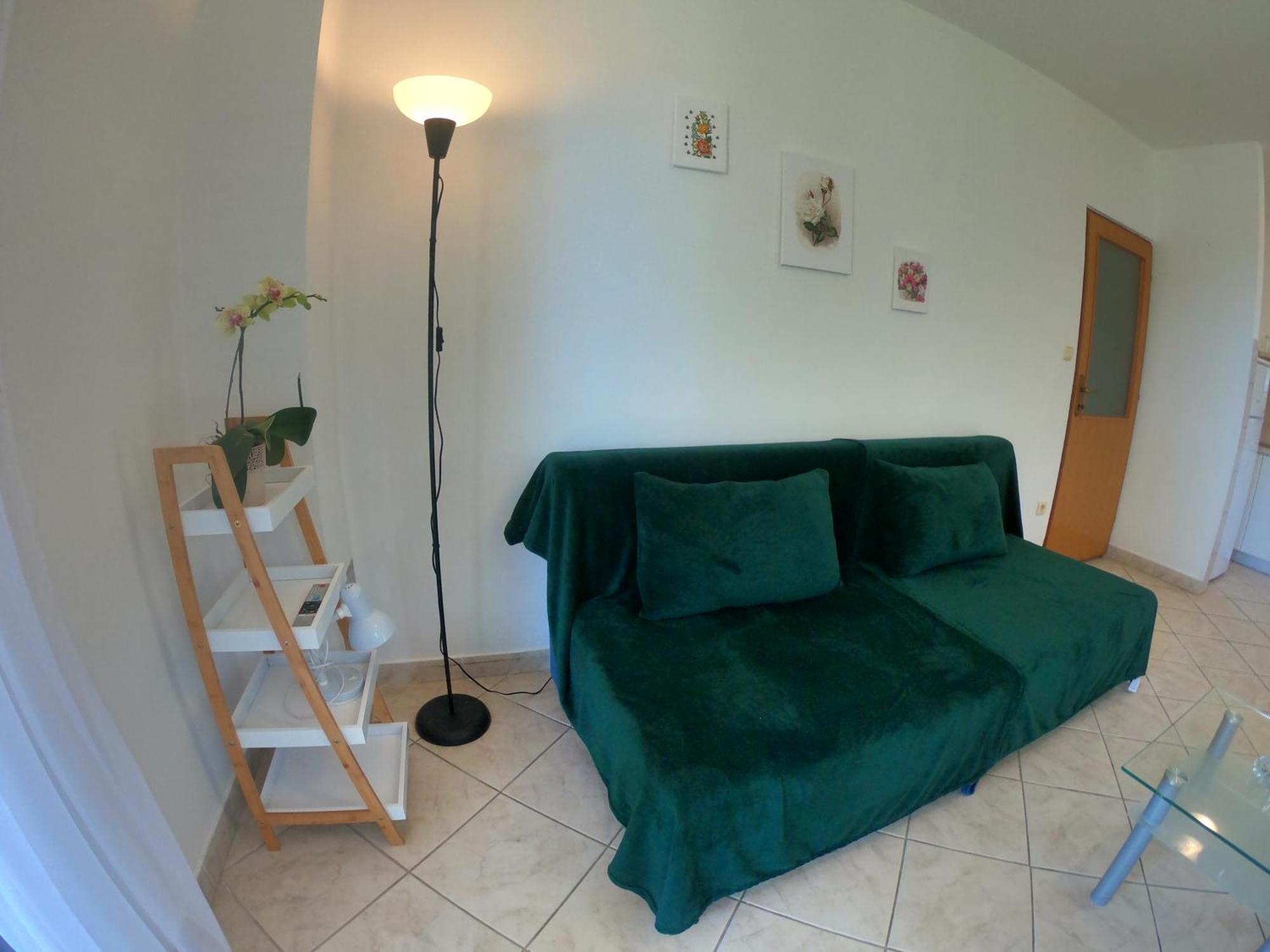 Apartments Stanko ペトルチャネ エクステリア 写真